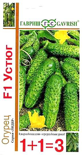 О Устюг 1+1 Гавриш