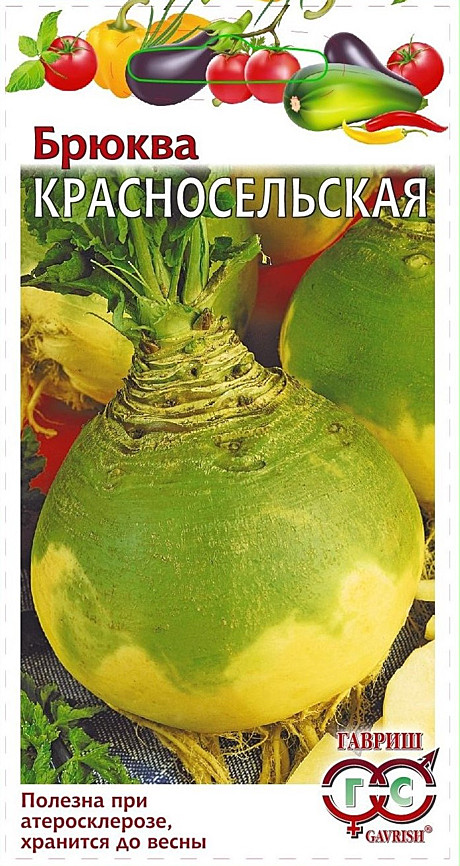 Брюква Красносельская Гавриш