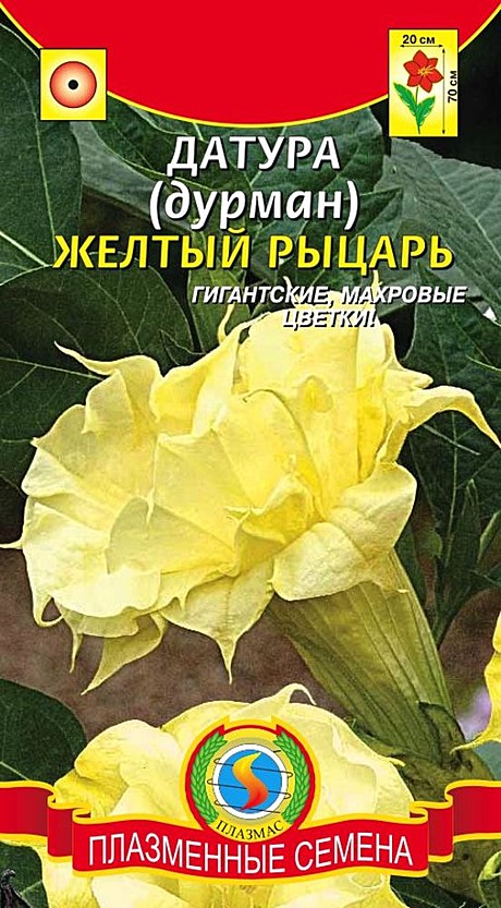 Ц Датура (Дурман)  Желтый рыцарь Плазма