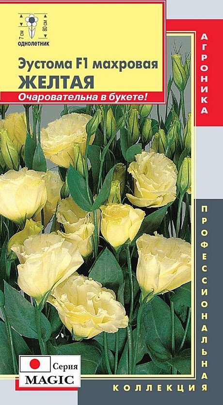 Ц Эустома Желтая махровая Плазм