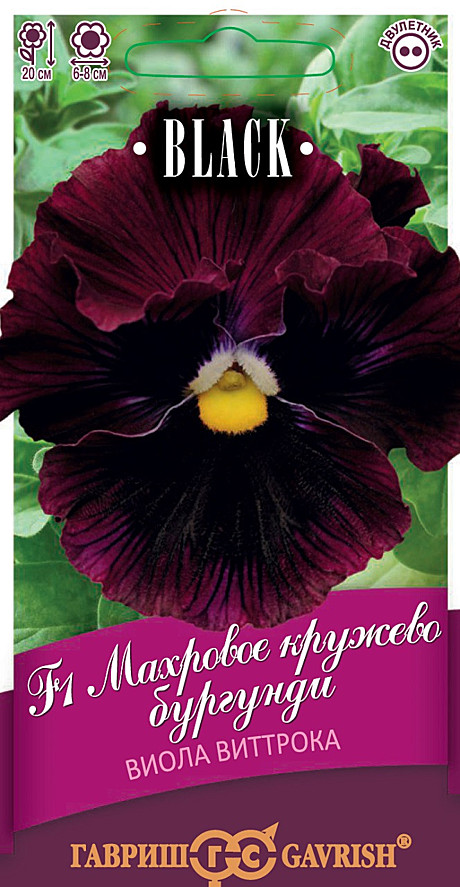 Ц Виола Махровое Кружево бургунди Гавриш