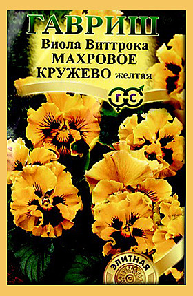 Ц Виола Махровое Кружево желтая Гавриш