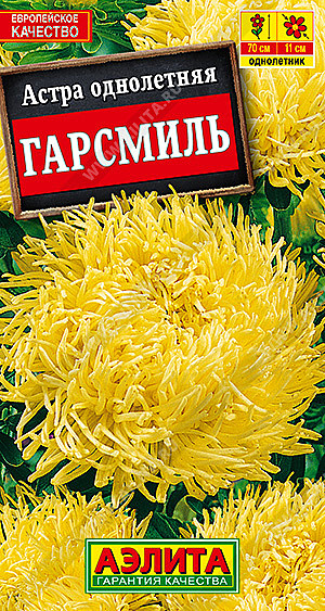 Ц А Гарсмиль коготковая Аэлита