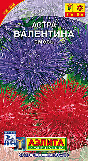 Ц А Валентина Аэлита