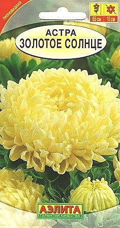 Ц А Золотое солнце пионовидная Аэлита