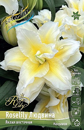 9549 Лилия Розелли Людвина вост 5шт/1шт
