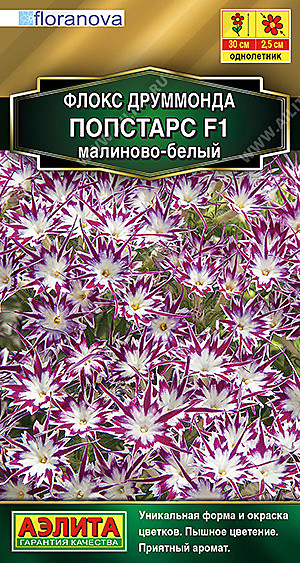 Ц Флокс Попстарс Малиново-белый Аэлита