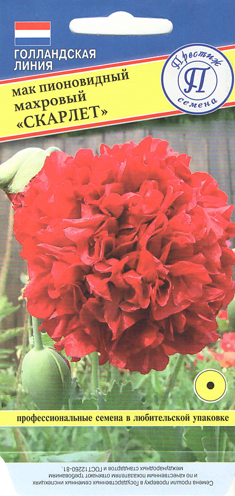 Ц Мак Махровый Скарлет Престиж