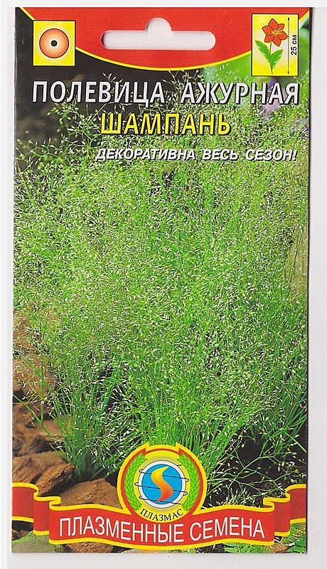 Ц Полевица ажурная Шампань 100шт Плазм