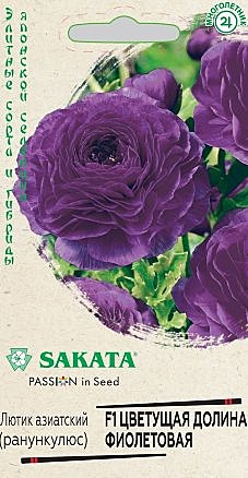 Ц Ранункулюс цветущая долина фиолетовая Гавриш