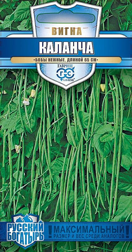 Ф Вигна Каланча  Гавриш