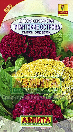 Ц Целозия Гигантские острова серебристая смесь  Аэлита