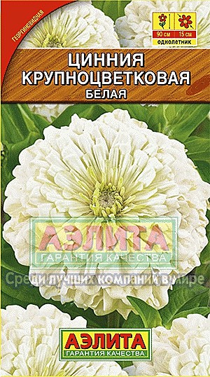 Ц Цинния Крупноцветковая белая  Аэлита