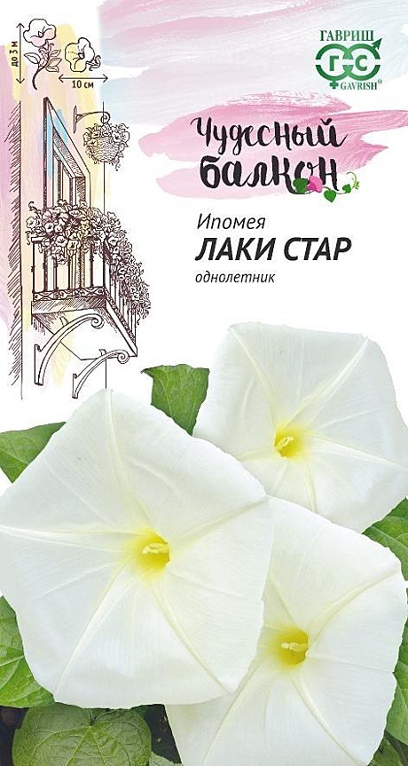 Ц Ипомея Лаки Стар Гавриш