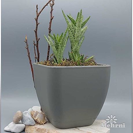 Горшок 0,2л серый 102/7.5-3 