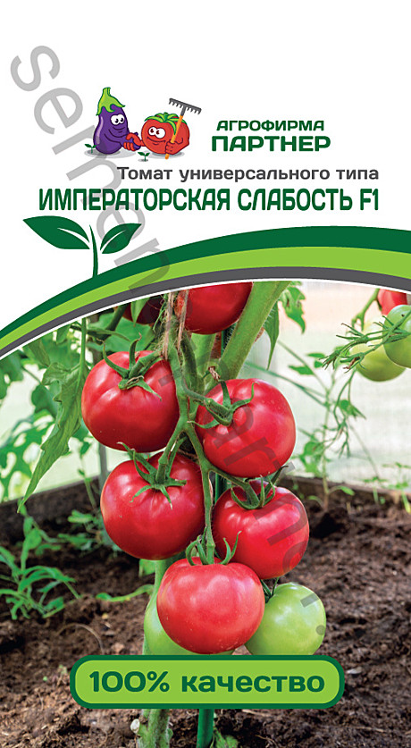 Т Императорская слабость Партнер