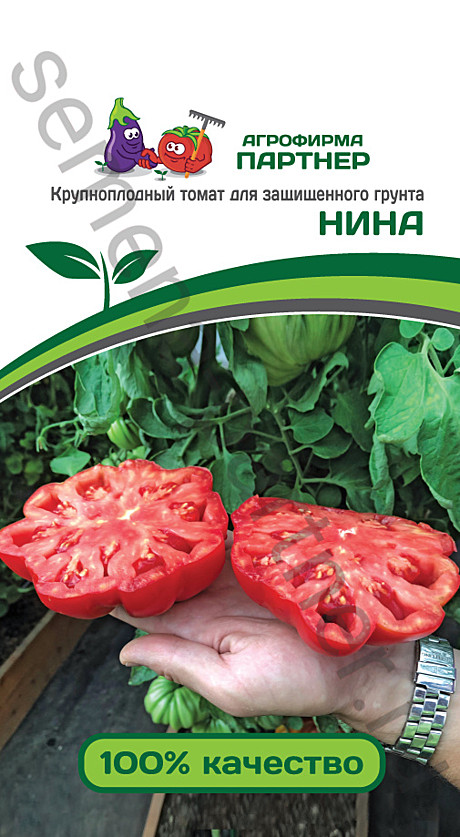 Т Нина Партнер