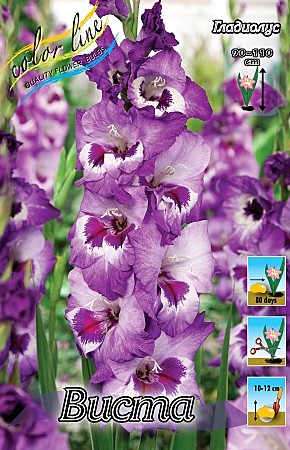 8178 Глад Виста 10шт/1шт