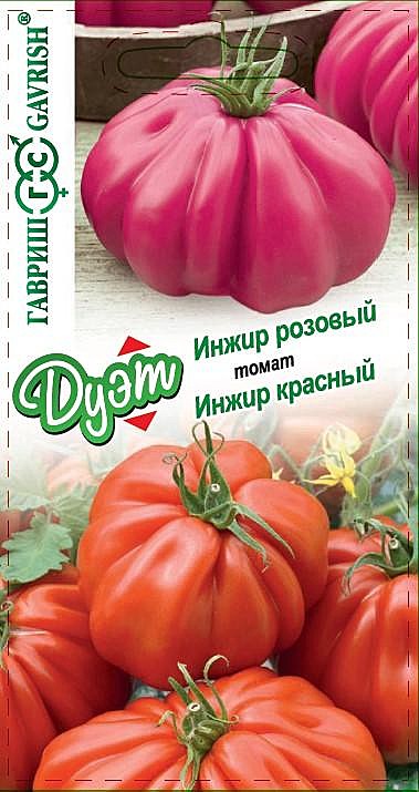 Т Инжир красный + инжир розовый ДУЭТ Гавриш