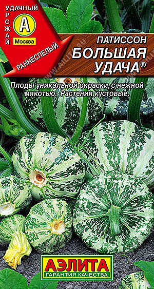 Патиссон Большая удача Аэлита