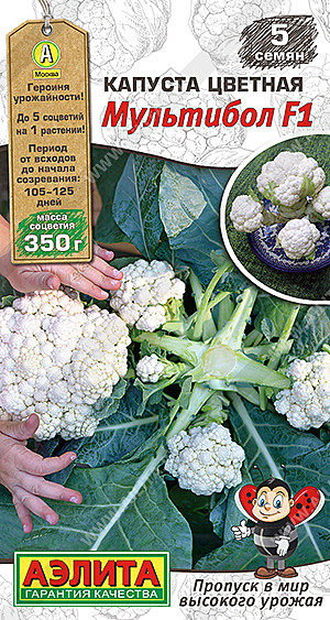 К Цв Мультибол Аэлита