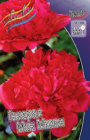 7279 Пион Генерал Мак Мэхон 1шт