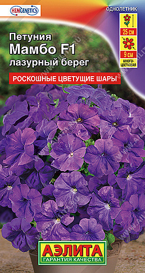 Ц П Мамбо лазурный берег Аэлита