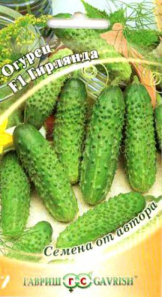 О Гирлянда Гавриш 