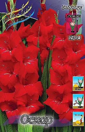 4750 Глад Оскар 7шт/1шт