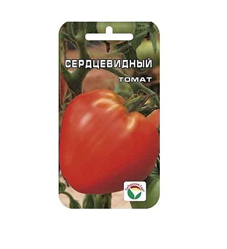 Т Сердцевидный Сиб сад