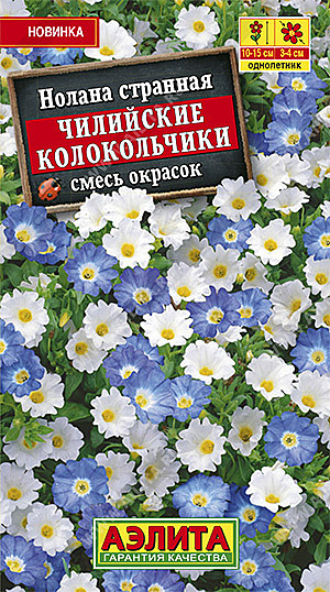 Ц Нолана Чилийские колокольчики, смесь окрасок Аэлита