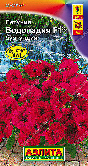 Ц П Водопадия бургундия Аэлита