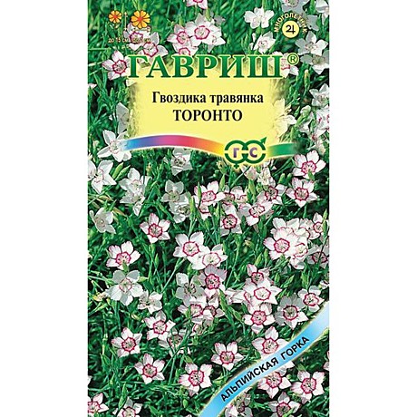 Ц Гвозд Торонто травянка Гавриш