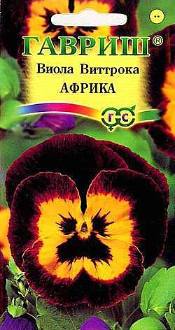 Ц Виола Африка Гавриш