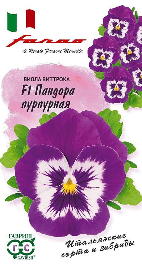 Ц Виола Пандора пурпурная Гавриш