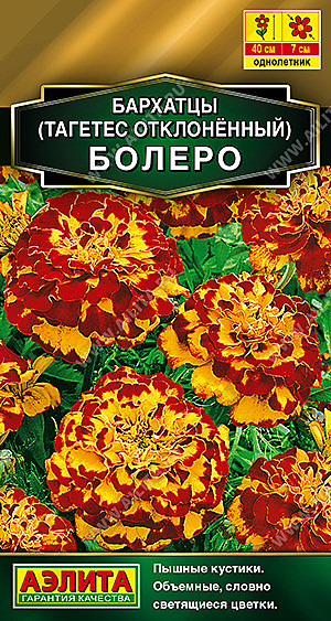 Ц Барх Болеро отклоненные Аэлита