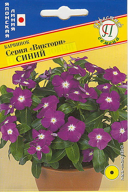 Ц Барвинок Виктори синий 10шт Престиж