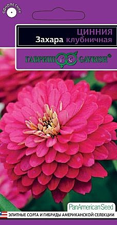 Ц Цинния Захара клубничная Гавриш