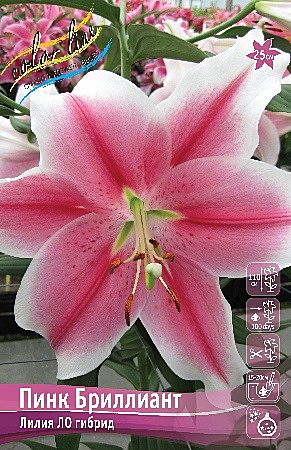 2084 Лилия Пинк Бриллиант ло 5шт/1шт/