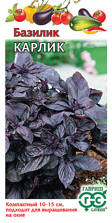 Ф Баз Карлик фиолетовый Гавриш