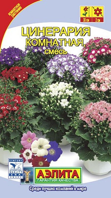 Ц Цинерария комнатная смесь Аэлита
