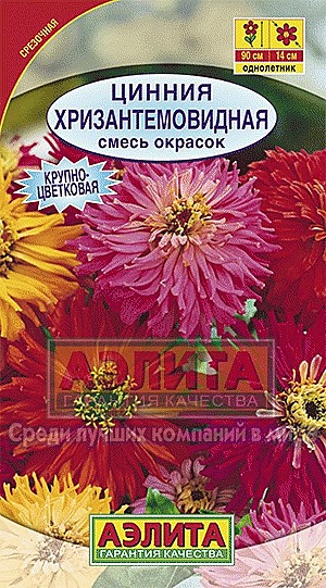Ц Цинния хризантемовидная  Аэлита