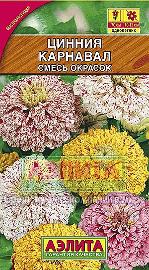 Ц Цинния Карнавал смесь Аэлита