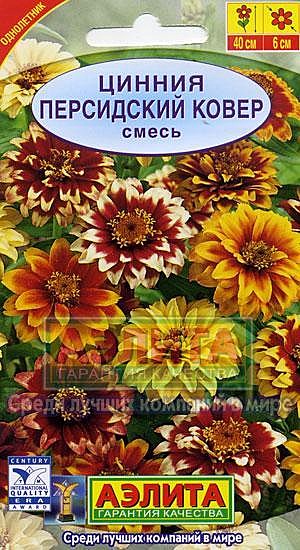 Ц Цинния Персидский ковер Аэлита