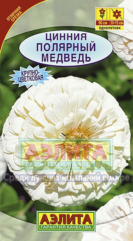 Ц Цинния Полярный медведь Аэлита