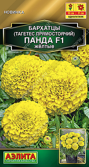 Ц Барх Панда желтые Аэлита