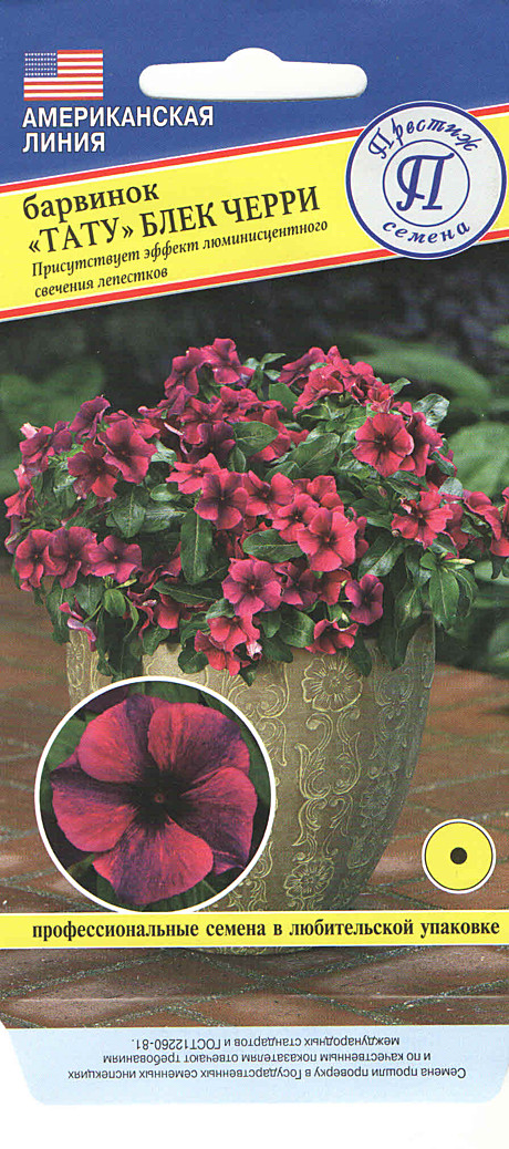 Ц Барвинок Тату Блек Черри Престиж