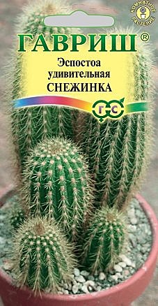 Ц Эспостоа Снежинка /кактус/ Гавриш