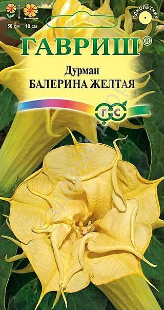 Ц Дурман Балерина желтая махр. Гавриш
