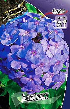 8711 Флокс Аметист 2шт/1шт